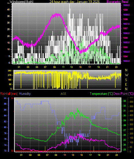 24 Hour Graph for Day 19