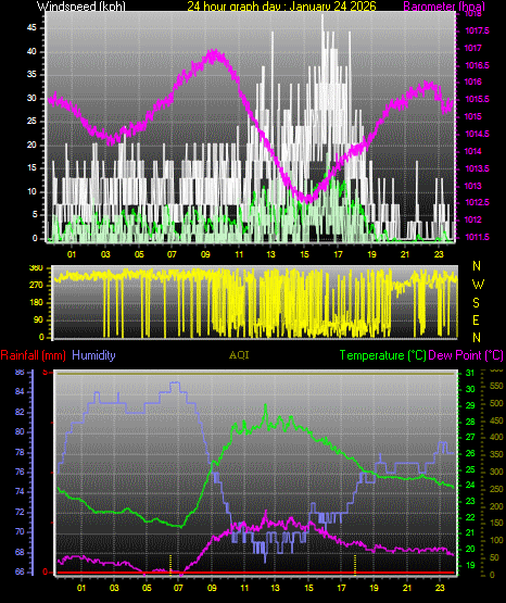 24 Hour Graph for Day 24