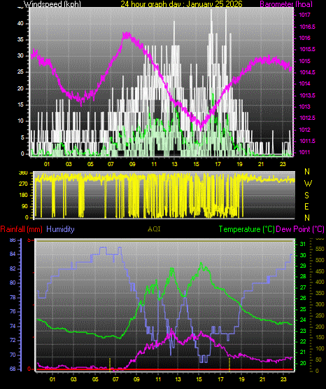 24 Hour Graph for Day 25
