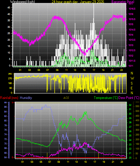 24 Hour Graph for Day 29
